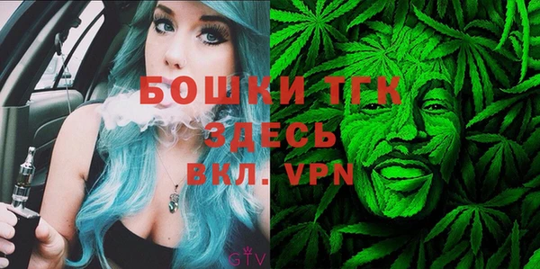 ПСИЛОЦИБИНОВЫЕ ГРИБЫ Новодвинск