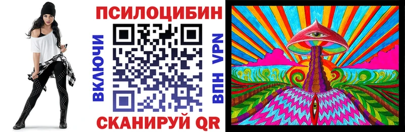 цена наркотик  Павловский Посад  Галлюциногенные грибы прущие грибы 