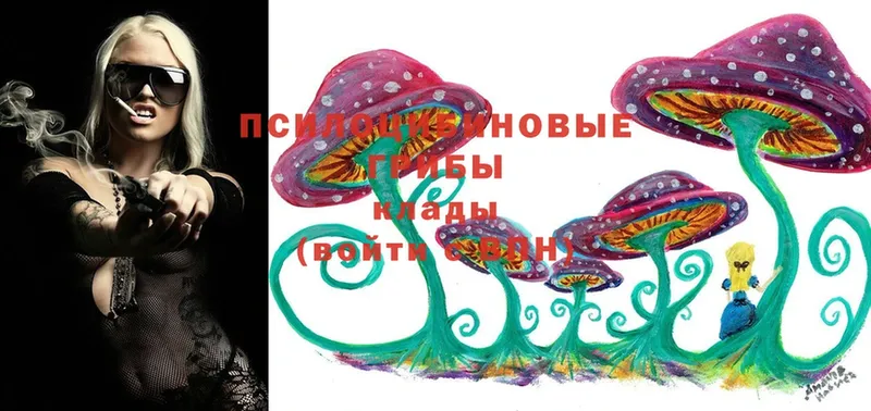 Псилоцибиновые грибы Magic Shrooms  Павловский Посад 