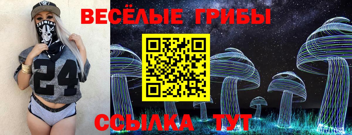 Галлюциногенные грибы MAGIC MUSHROOMS Павловский Посад