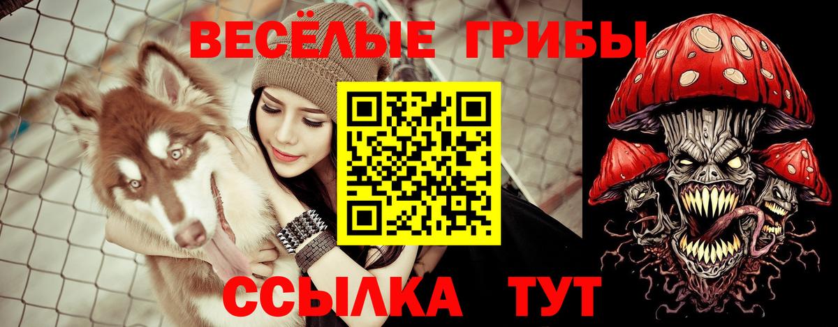 Галлюциногенные грибы ЛСД Павловский Посад
