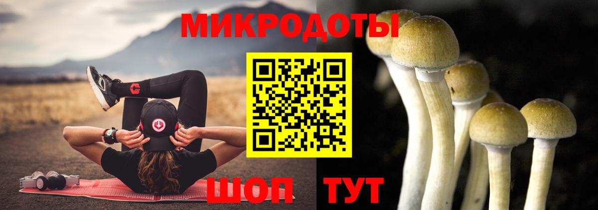 Галлюциногенные грибы MAGIC MUSHROOMS  Вход с VPN  магазин  наркотиков  Павловский Посад 