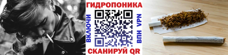 Бошки Шишки гибрид  Павловский Посад 
